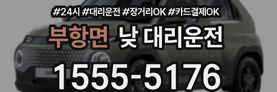 부항면 낮 대리운전