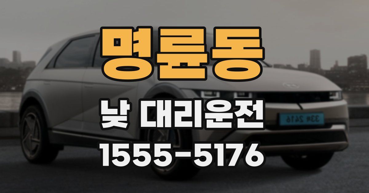 명륜동 낮 대리운전