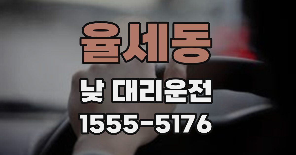 율세동 낮 대리운전