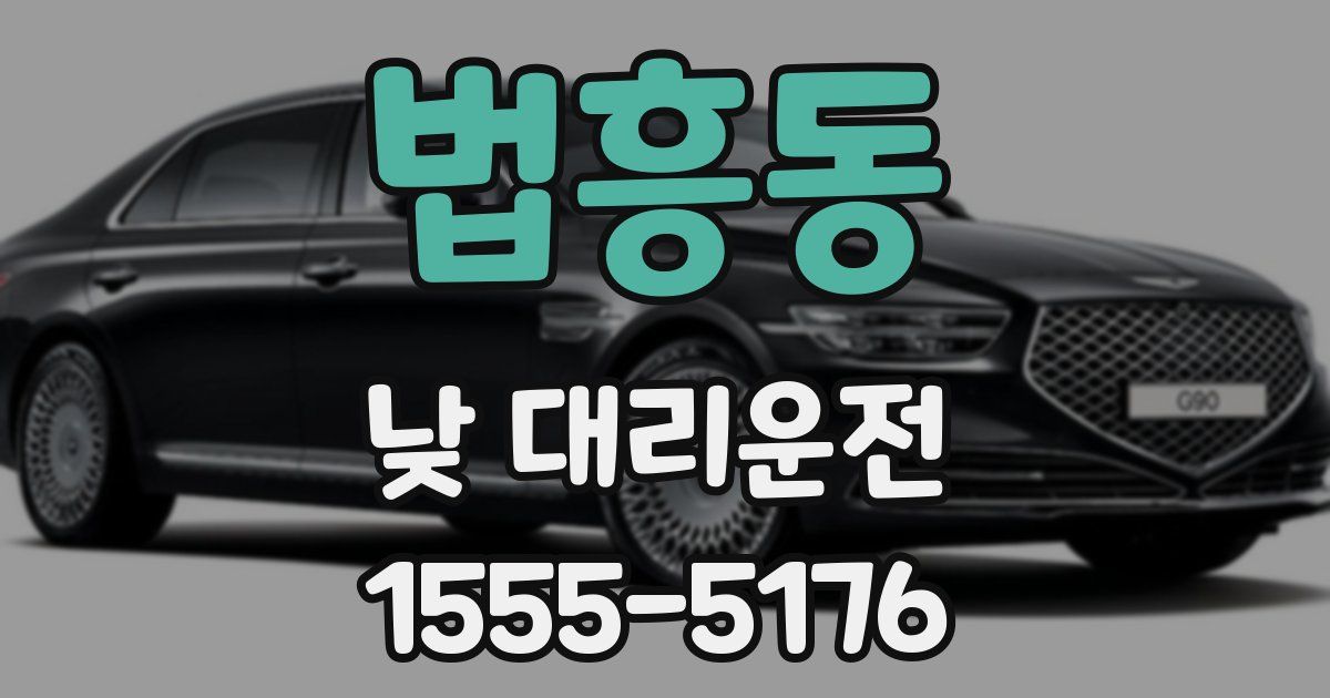 법흥동 낮 대리운전