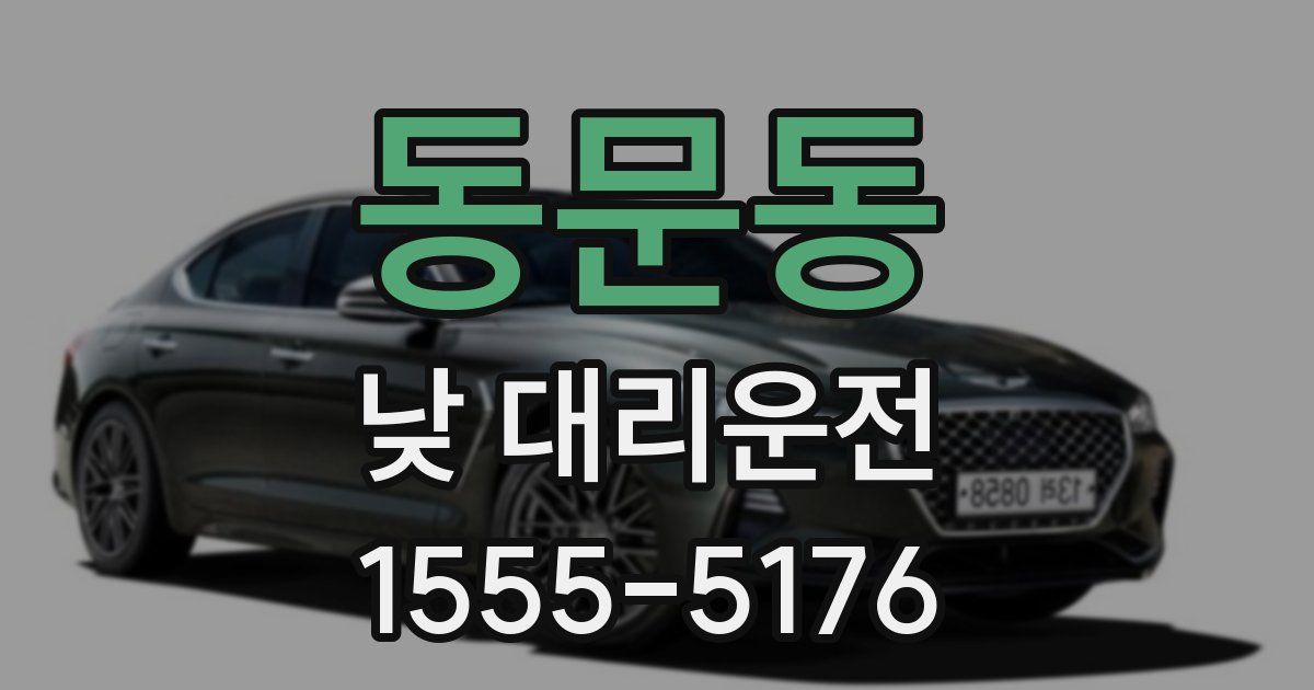 동문동 낮 대리운전
