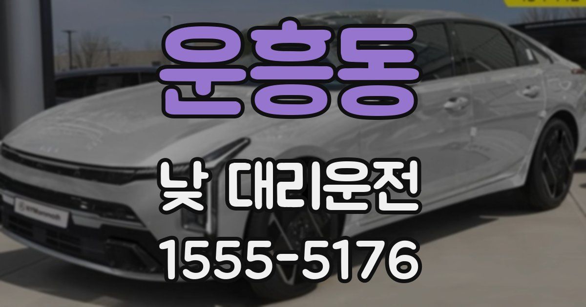 운흥동 낮 대리운전