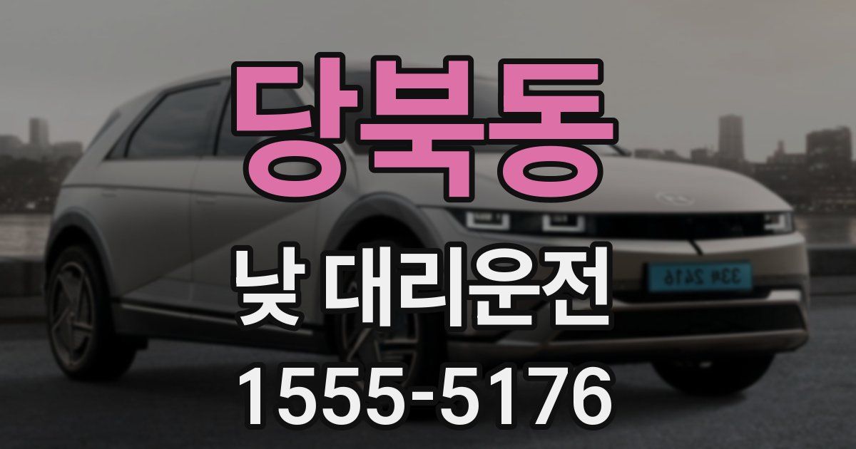 당북동 낮 대리운전