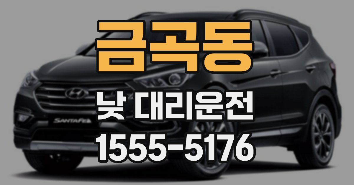 금곡동 낮 대리운전