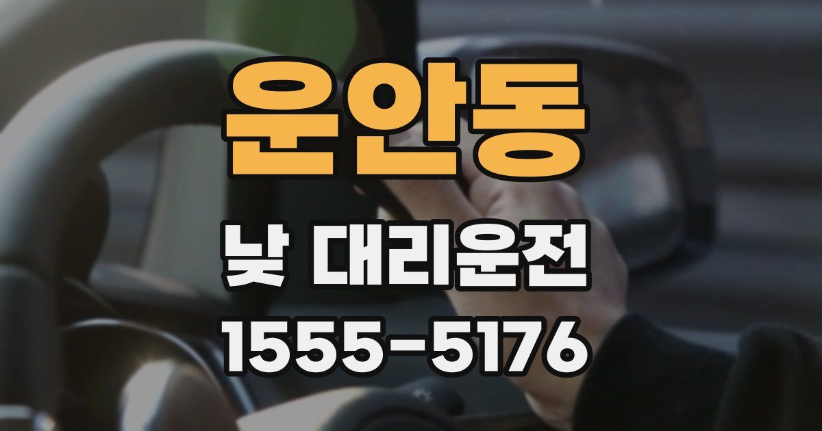 운안동 낮 대리운전