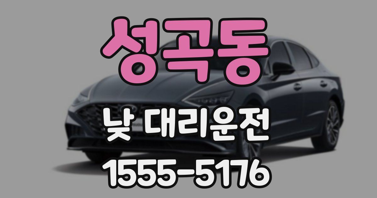 성곡동 낮 대리운전