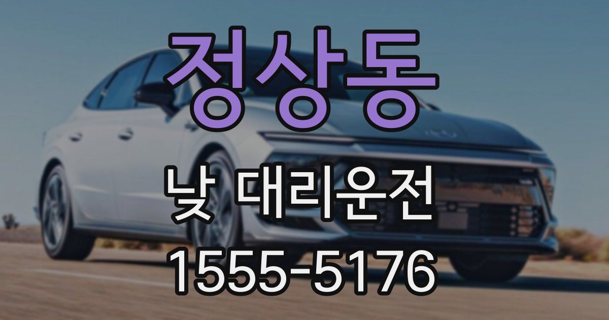 정상동 낮 대리운전