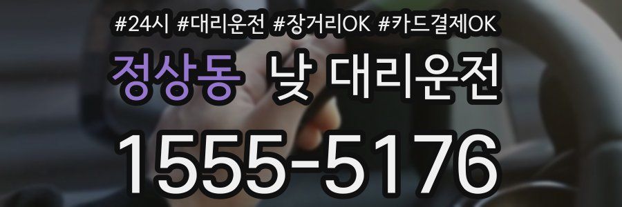 정상동 낮 대리운전