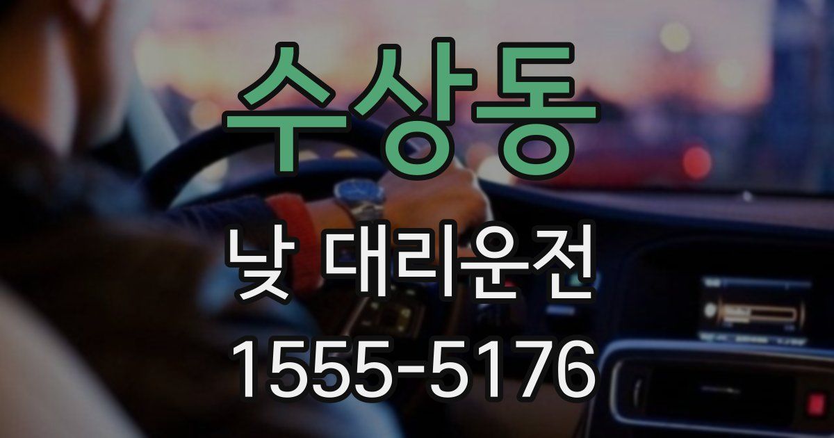 수상동 낮 대리운전