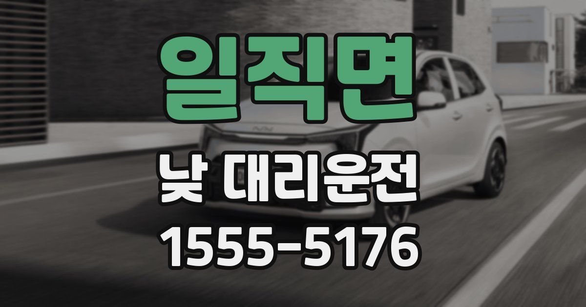 일직면 낮 대리운전