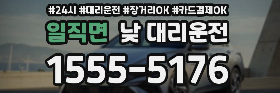 일직면 낮 대리운전
