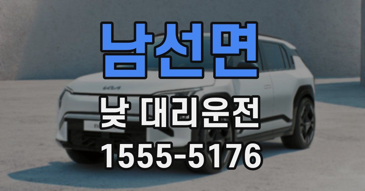 남선면 낮 대리운전