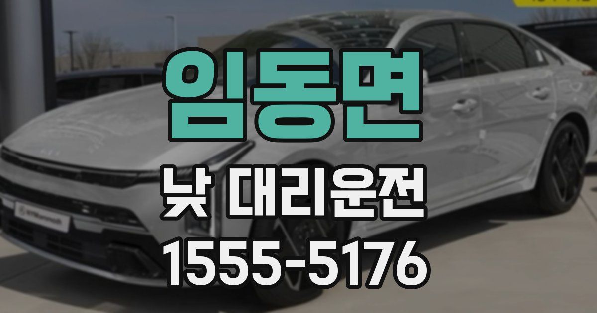 임동면 낮 대리운전
