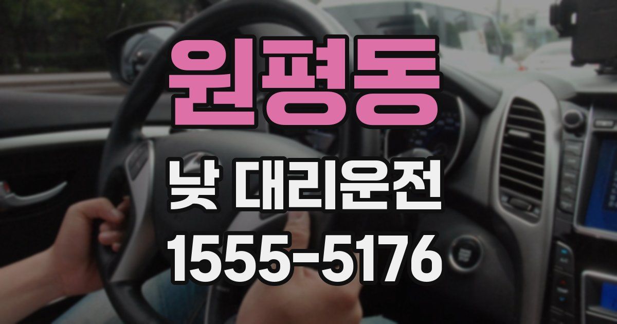 원평동 낮 대리운전