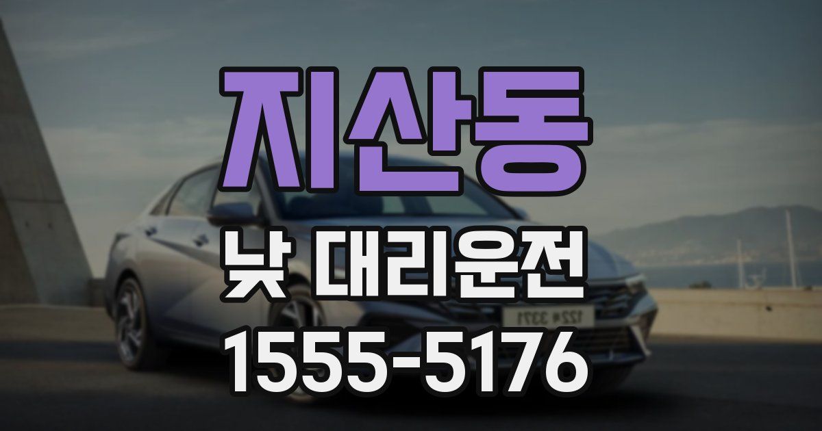 지산동 낮 대리운전