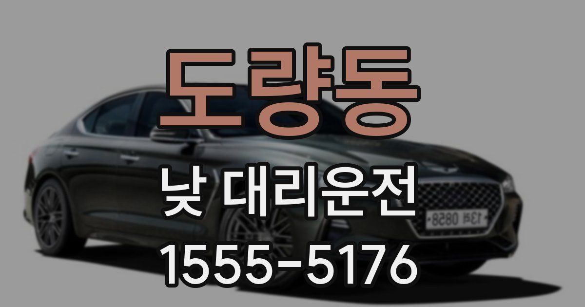 도량동 낮 대리운전