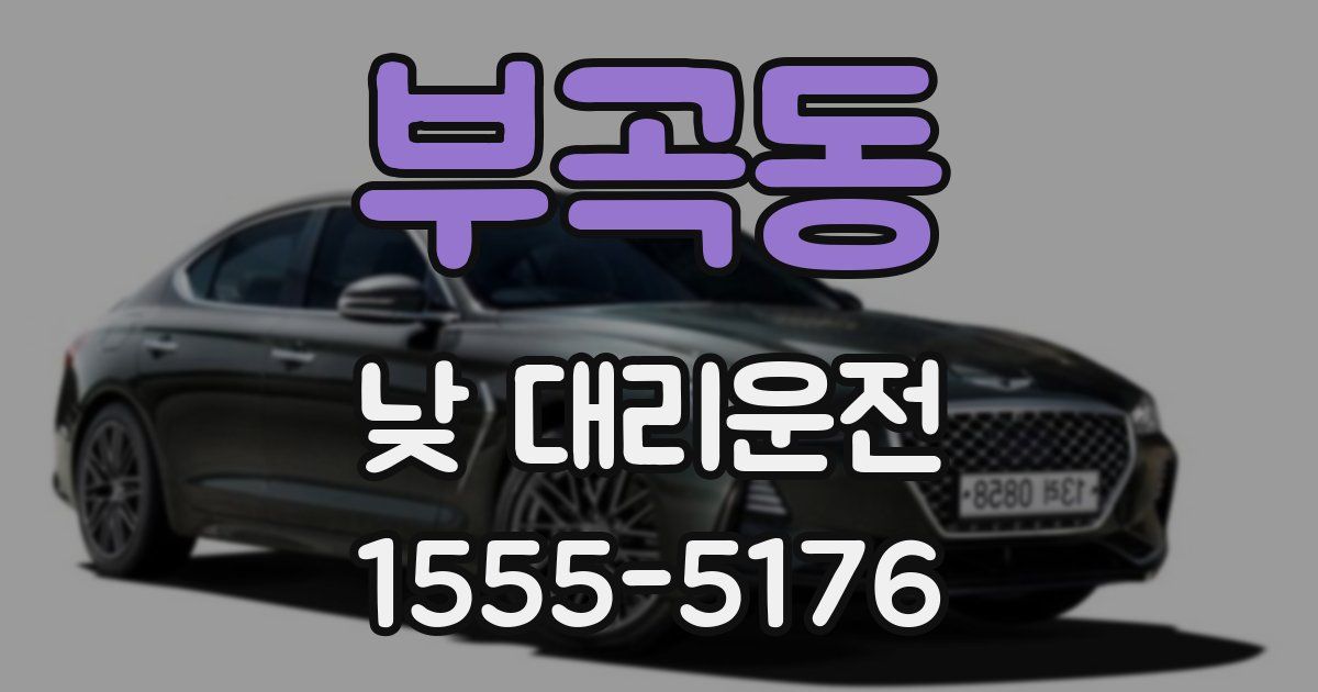 부곡동 낮 대리운전