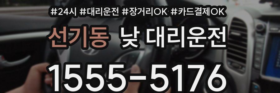 선기동 낮 대리운전