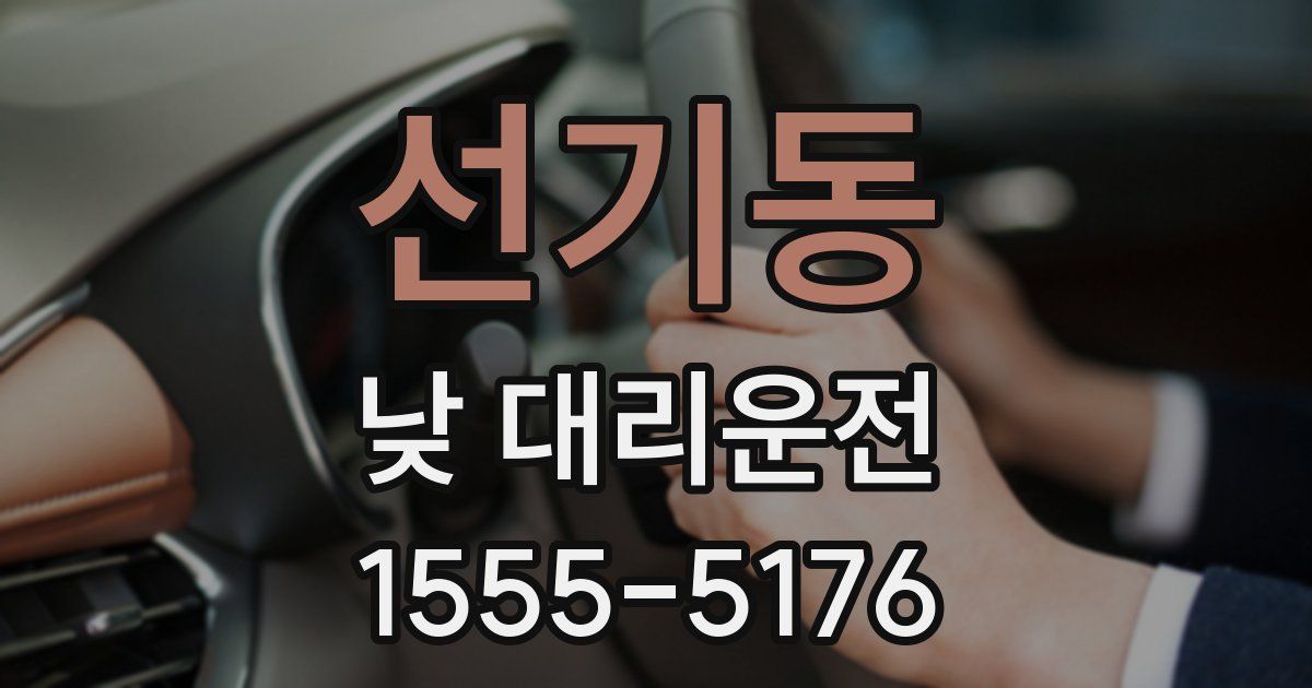선기동 낮 대리운전