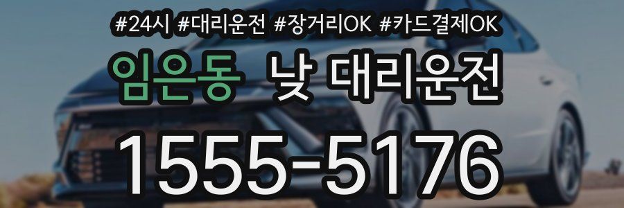 임은동 낮 대리운전
