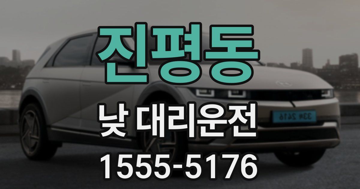 진평동 낮 대리운전