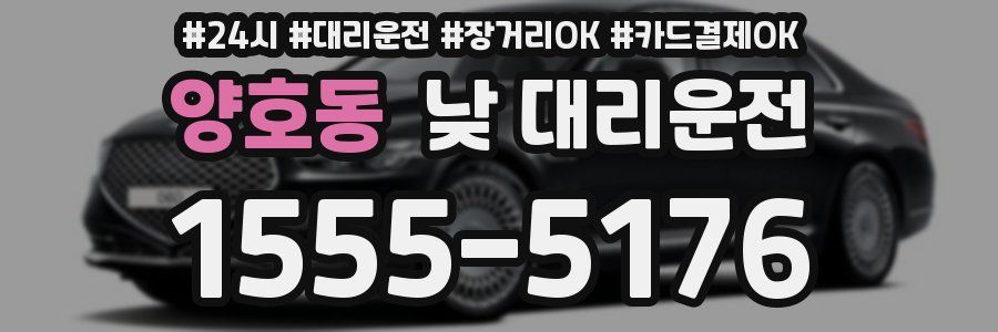 양호동 낮 대리운전