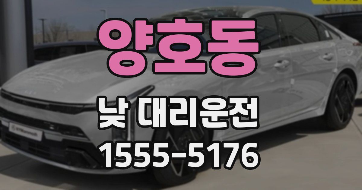 양호동 낮 대리운전
