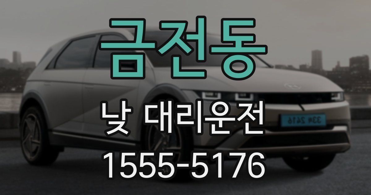 금전동 낮 대리운전