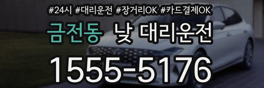 금전동 낮 대리운전