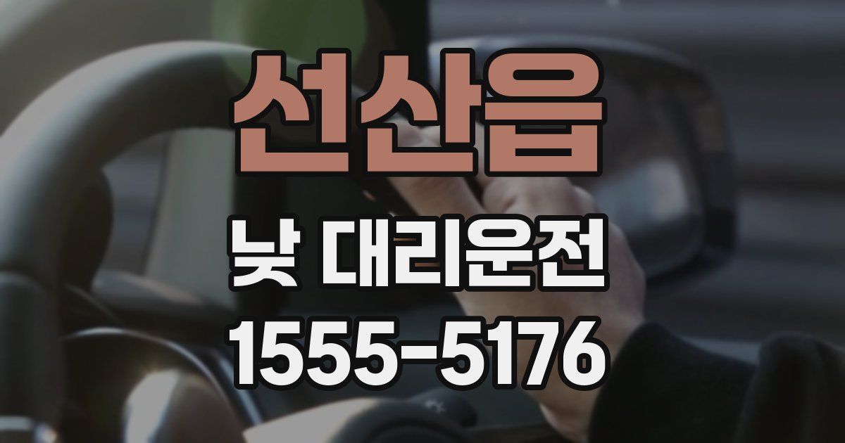 선산읍 낮 대리운전