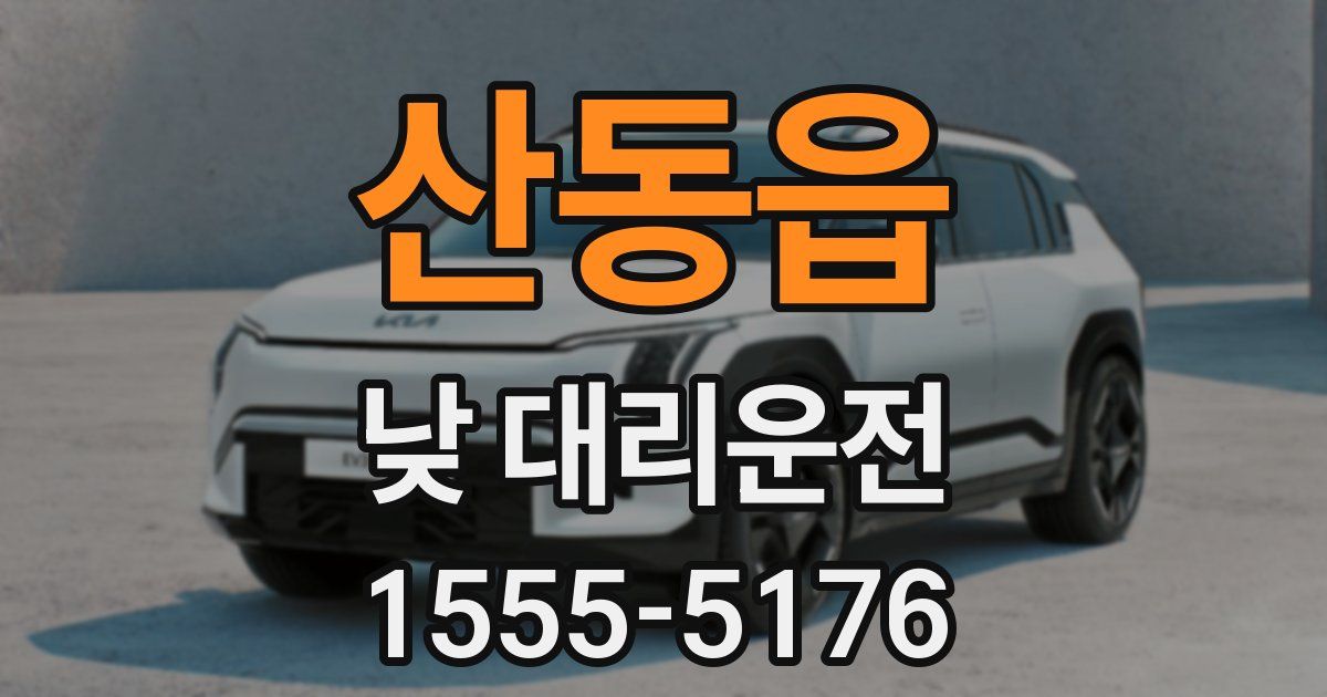산동읍 낮 대리운전