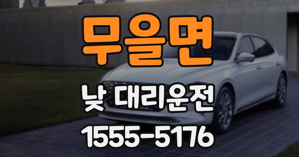 무을면 낮 대리운전