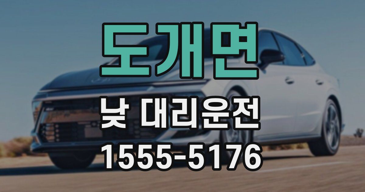 도개면 낮 대리운전