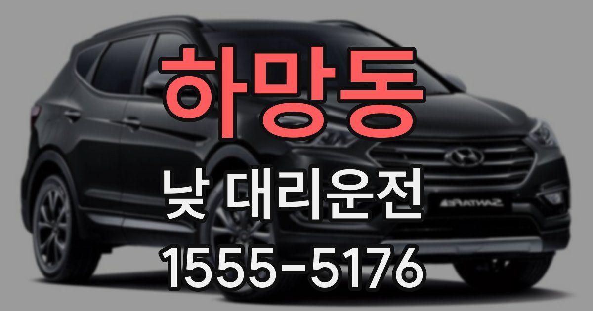 하망동 낮 대리운전