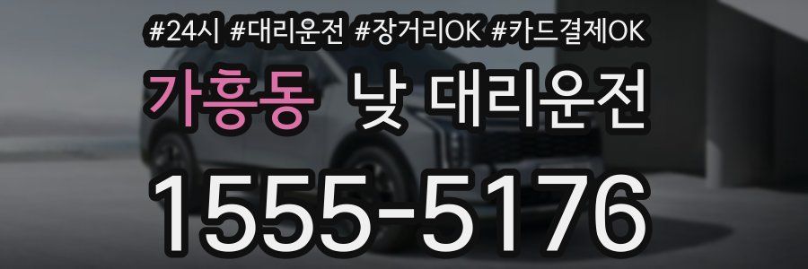가흥동 낮 대리운전