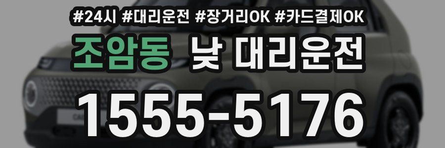 조암동 낮 대리운전