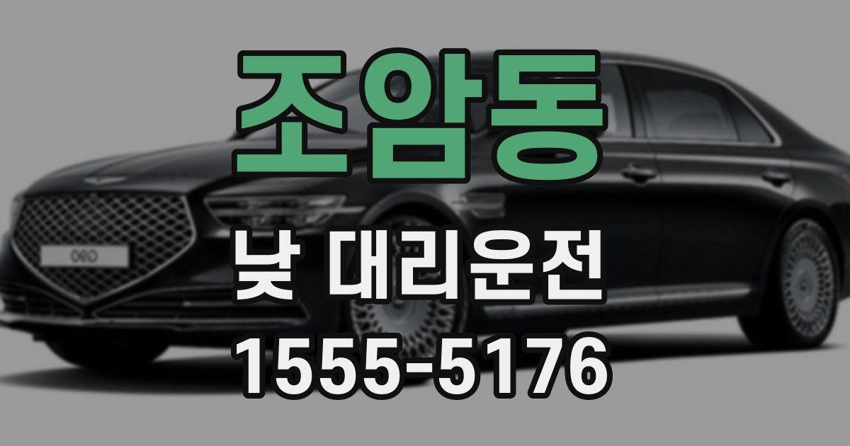 조암동 낮 대리운전