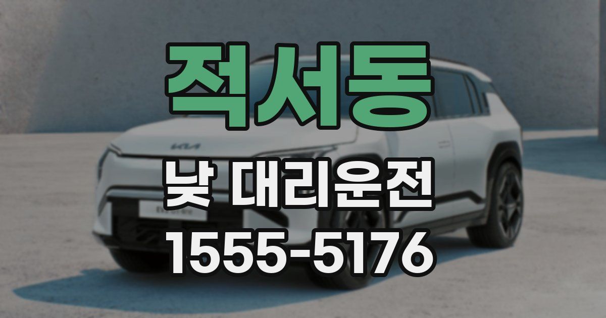 적서동 낮 대리운전