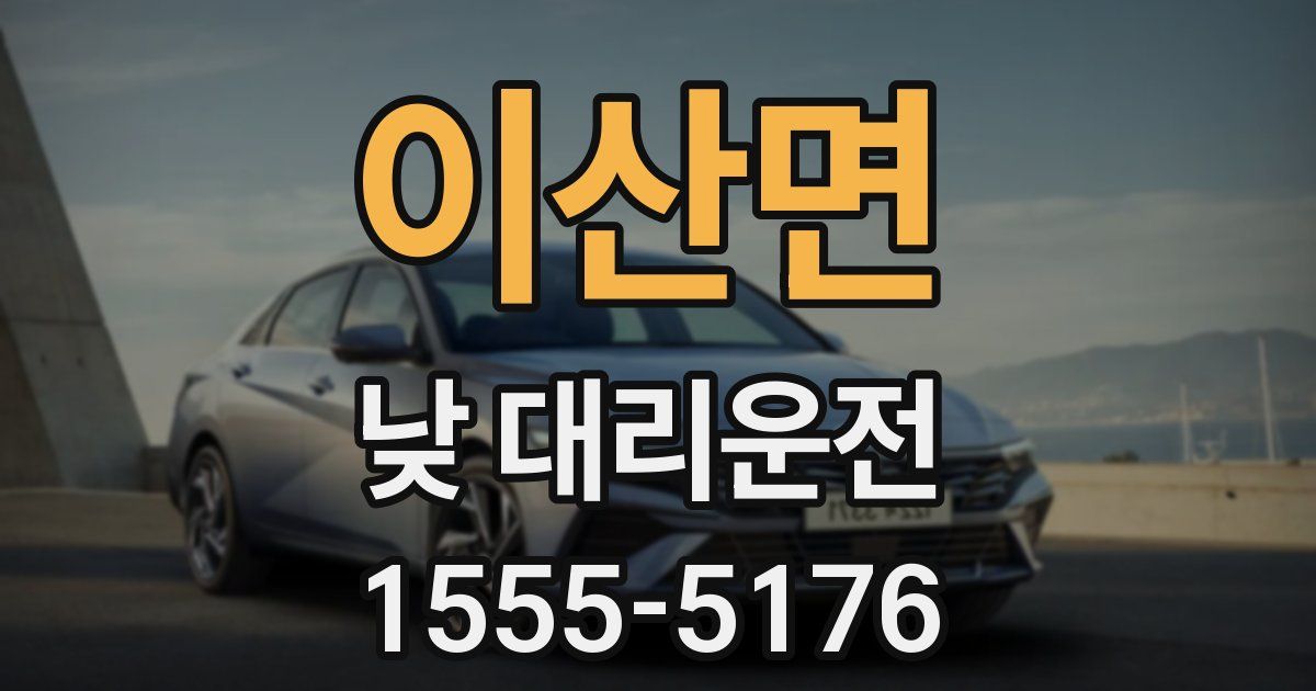 이산면 낮 대리운전