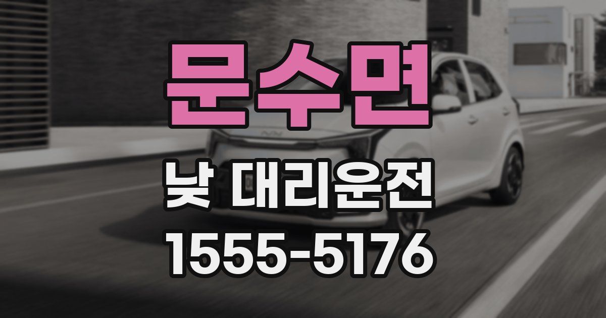 문수면 낮 대리운전