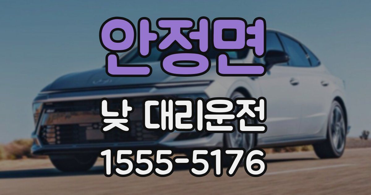 안정면 낮 대리운전