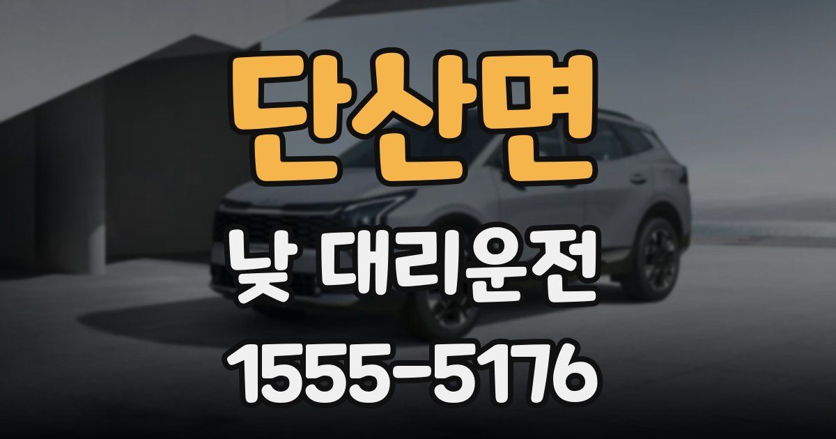 단산면 낮 대리운전
