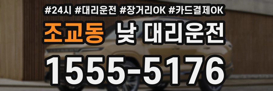 조교동 낮 대리운전