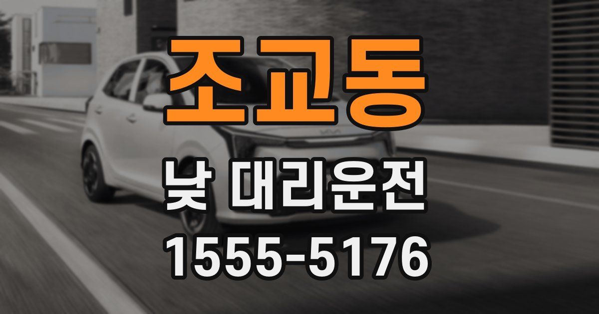 조교동 낮 대리운전