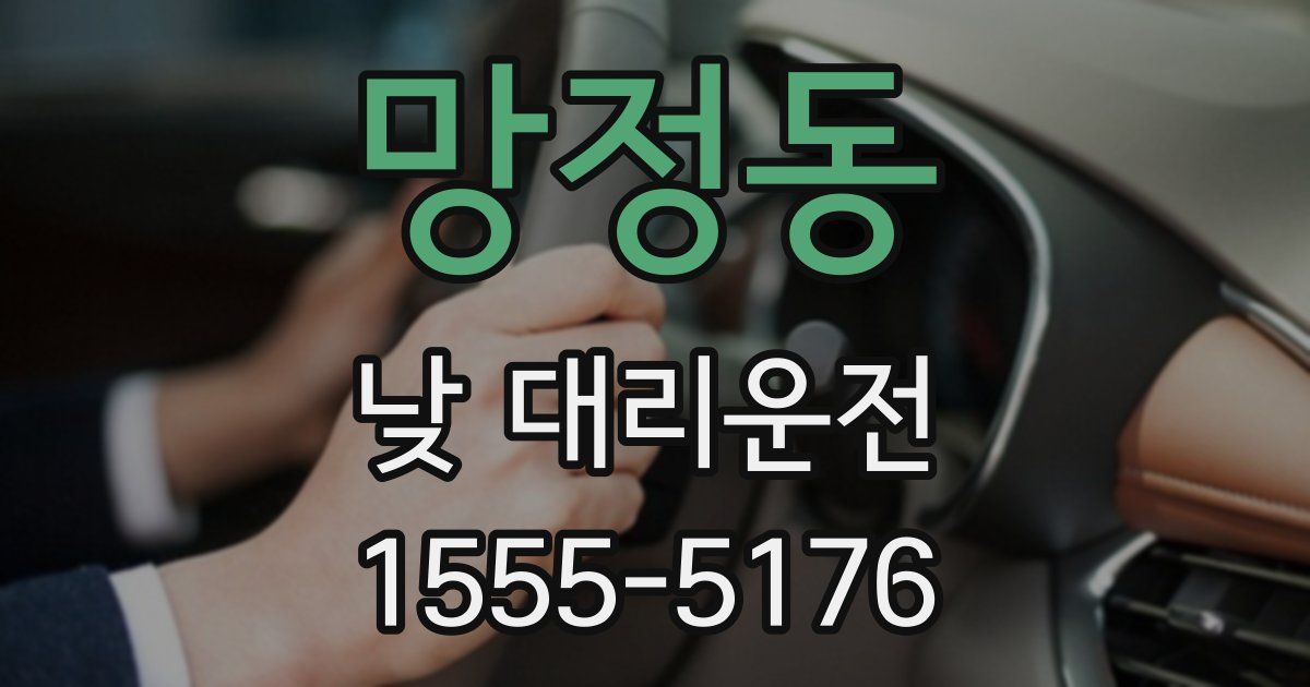 망정동 낮 대리운전