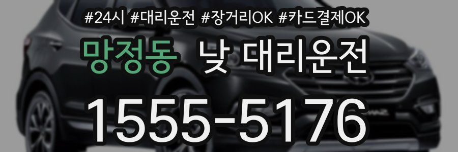 망정동 낮 대리운전