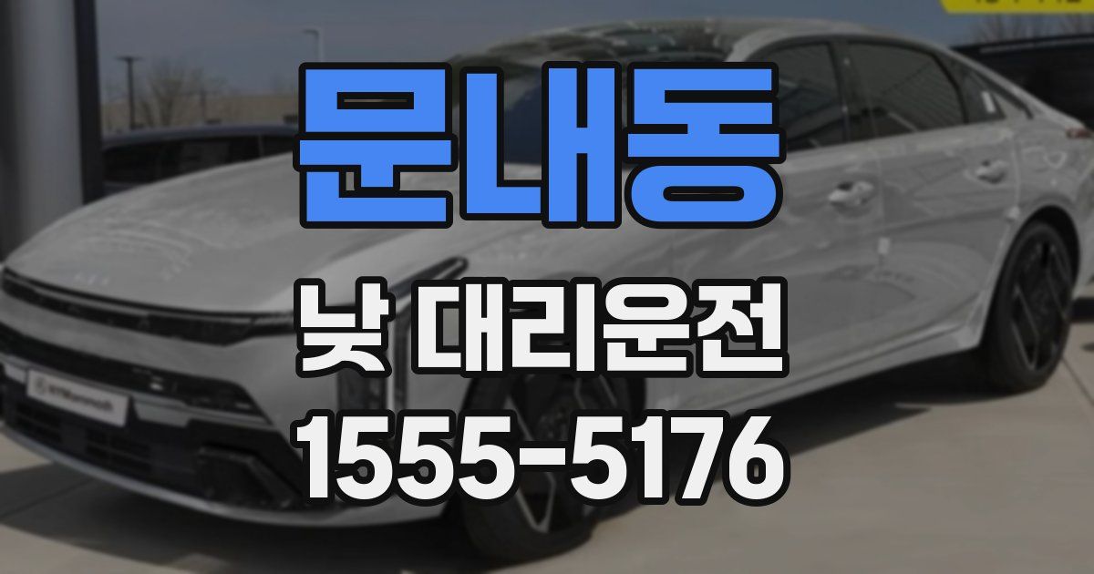 문내동 낮 대리운전
