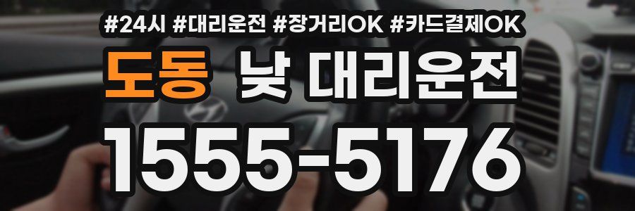 도동 낮 대리운전