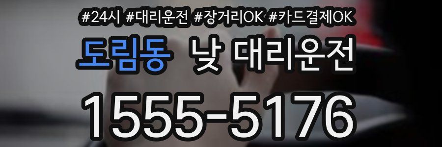 도림동 낮 대리운전