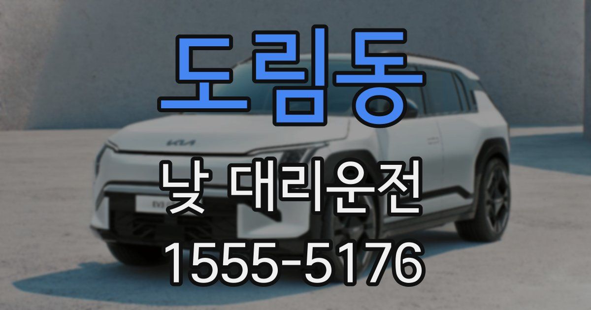 도림동 낮 대리운전